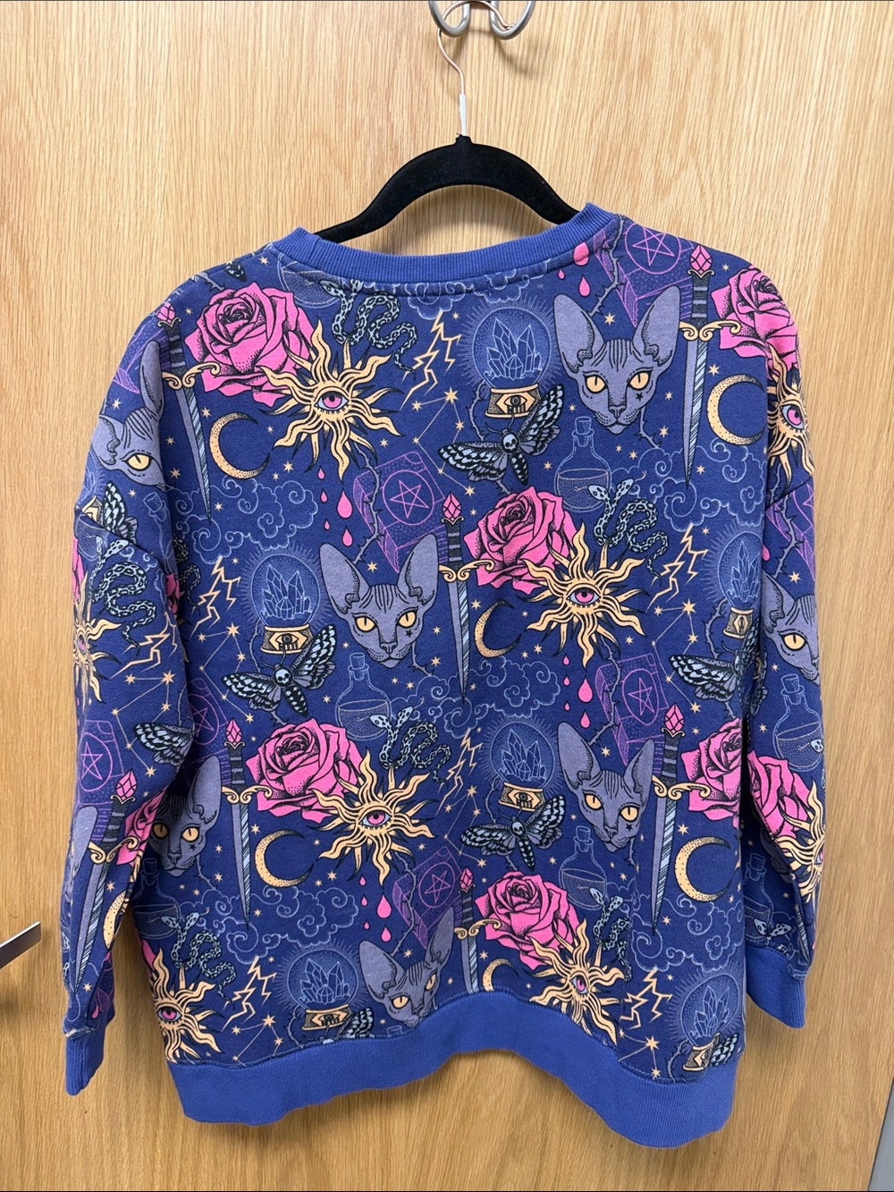Earthbound Mystical Sphynx Cat Print Sweatshirt in Navy & Pink - Picture 4 of 8